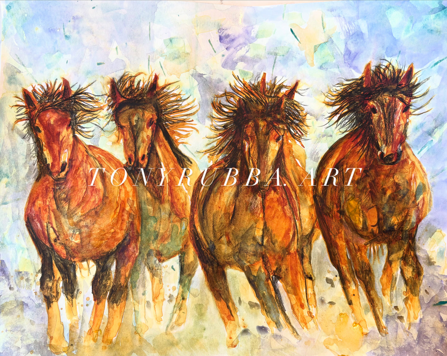 Wild Horses
