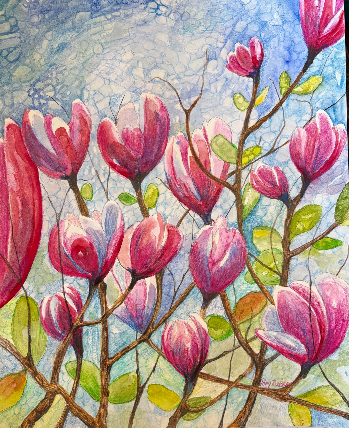 Noble Spring