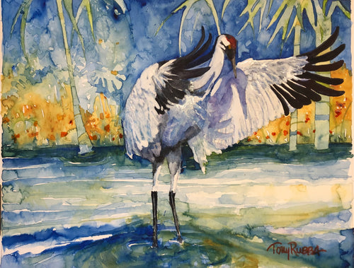 Whooping Crane