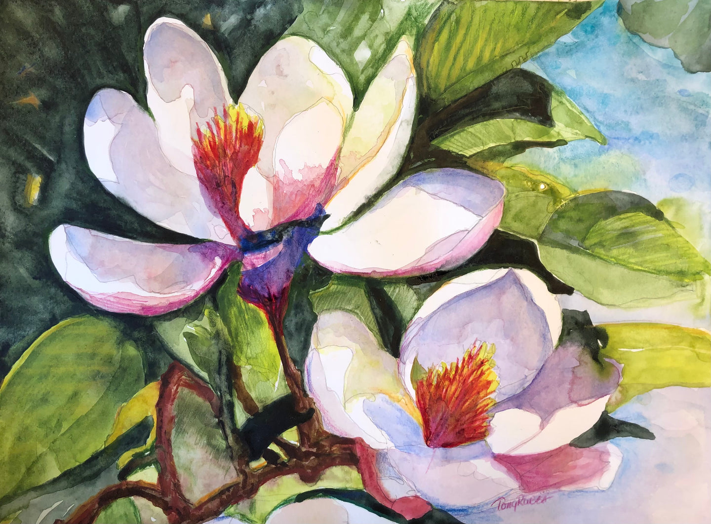 Cate’s Magnolia