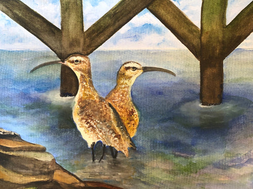 Whimbrells At Sunset Pier