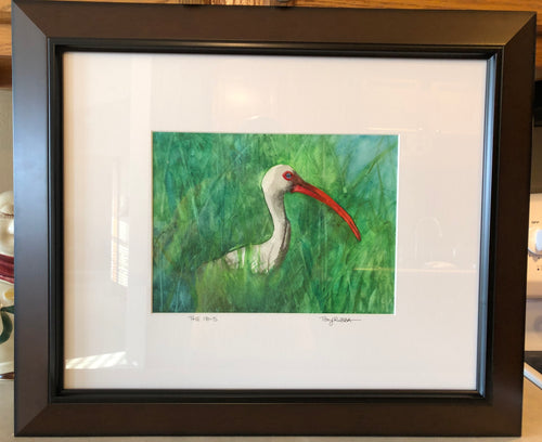 The Ibis