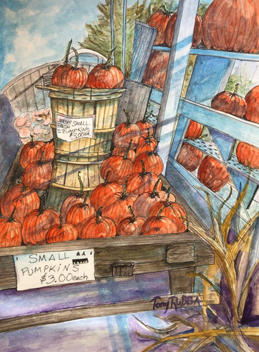 Shady Brook Farm