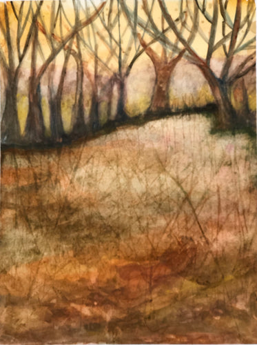 Serenity Grove