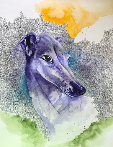 Greyhound
