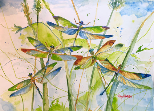 Summer Flight