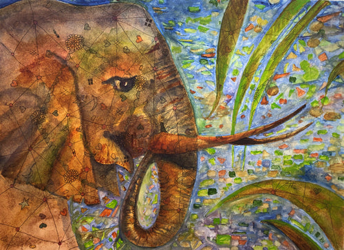 Pandemic Pachyderm