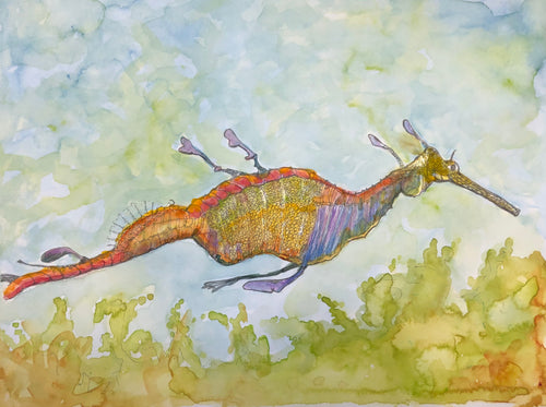 Sea Dragon