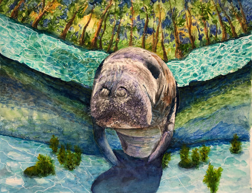 Manatee