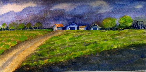 Summer Rain